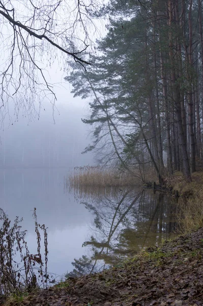 Атмосферный Туманный Осенний Пейзаж Спокойным Озером Окружении Лесных Деревьев Красочной — стоковое фото