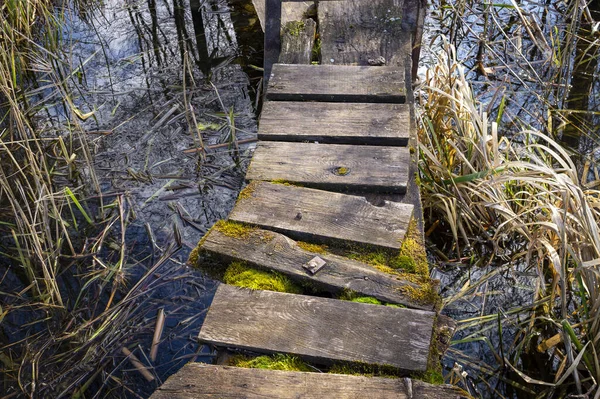 Old Rickety Rustic Wooden Jetty Lake Moss Growing Planks Surrounded — Stock Photo, Image