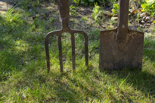 Kerti Villák Ásó Vagy Ásó Egy Zöld Gyepen Tavaszi Kertészkedés — Stock Fotó