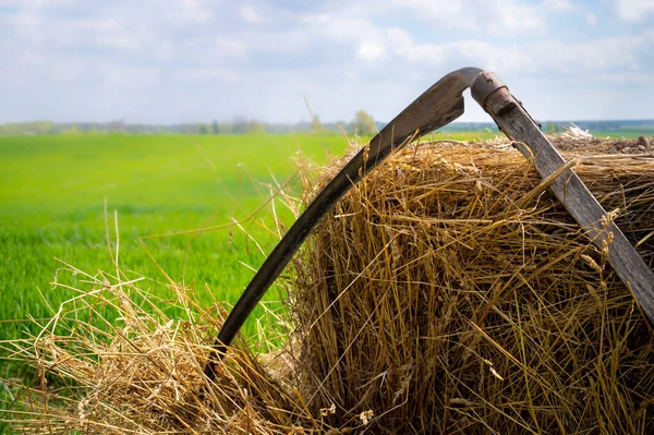 Foice Descansando Contra Feno Recém Colhido Campo Fazenda Verde Exuberante — Fotografia de Stock