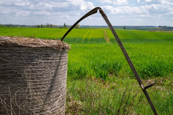 Foice Descansando Contra Feno Recém Colhido Campo Fazenda Verde Exuberante — Fotografia de Stock