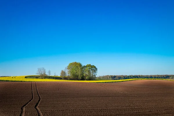 Véhicule Suit Travers Champ Agricole Fraîchement Labouré Avec Une Riche — Photo