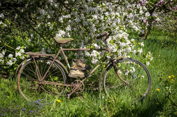 Bicicleta Velha Com Par Botas Caminhada Amarrado Sobre Assento Frente — Fotografia de Stock