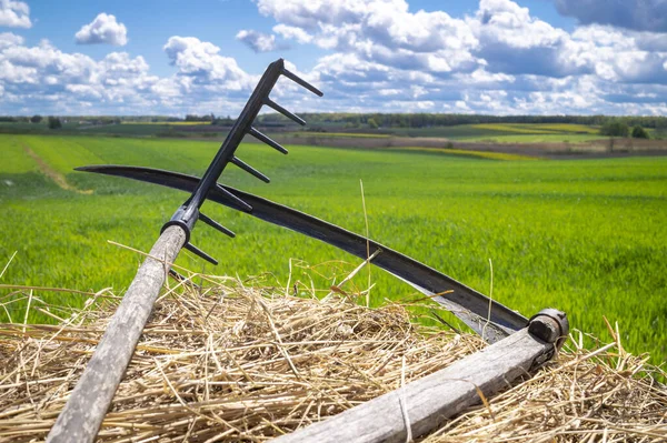 Rake Scythe Dried Straw Agricultural Field Spring Viewed Close Tools — Stock Photo, Image