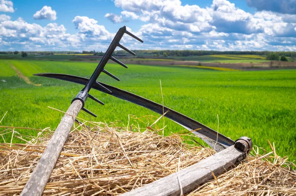 Rake Scythe Dried Straw Agricultural Field Spring Viewed Close Tools — Stock Photo, Image