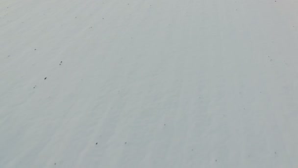 Fly over snow-cowered field into road with driving truck. Aerial drone shot. — Stock Video