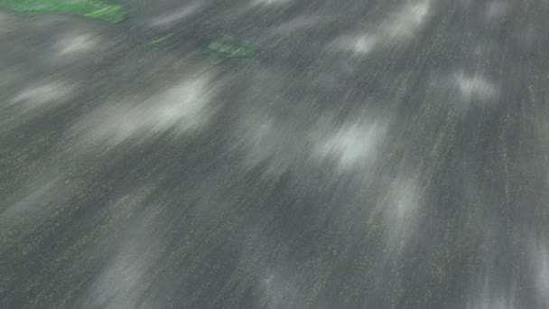 Texture du champ labouré, 4k vue aérienne du champ labouré préparé pour la plantation 