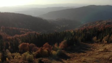 Karışık ladin ve yaprak döken yeşil ve turuncu sonbahar ormanlarının destansı hava manzarası. Efsanevi Zafer Yürüyüşü ve Turizm Konsepti