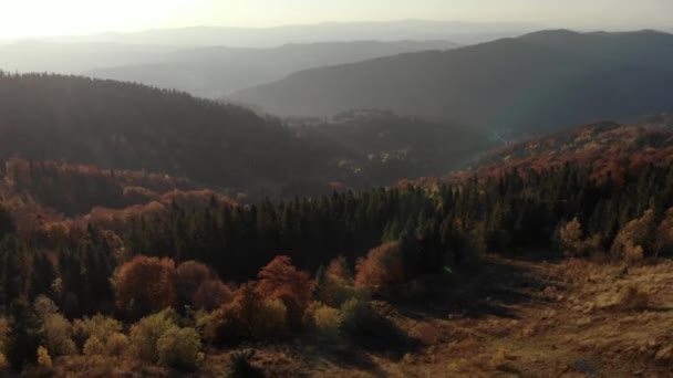 Epický letecký pohled na smíšený smrk a opadavý zelený a oranžový podzimní les. Epic Glory Inspiration Hiking and Tourism Concept — Stock video