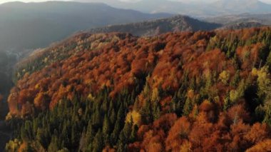Karışık ladin ve yaprak döken yeşil ve turuncu sonbahar ormanlarının destansı hava manzarası. Efsanevi Zafer Yürüyüşü ve Turizm Konsepti. 4k