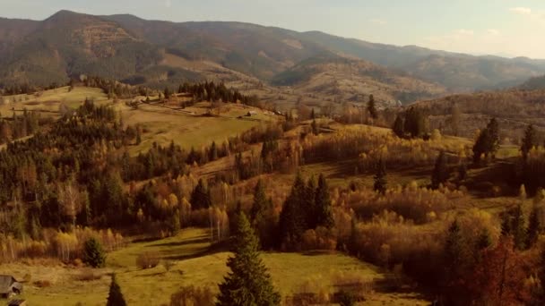 Vista aérea del dron: Vuelo sobre el bosque de pinos, abetos y árboles de hoja caduca en la campiña de las montañas bajo la suave luz del atardecer. Naturaleza, viajes, vacaciones. Cárpatos, Ucrania, Europa. 4K — Vídeo de stock