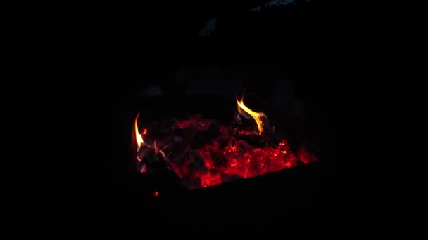 Les flammes du reste brûlent le feu dans les cendres. Super slow motion sur noir . — Video