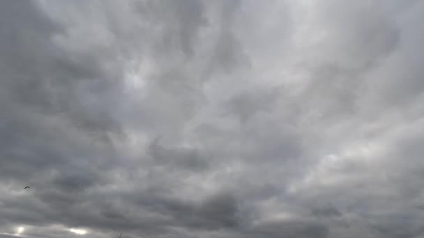 Time lapse: χνουδωτά μπλε και γκρι σύννεφα αιωρούνται από τον ουρανό. — Αρχείο Βίντεο