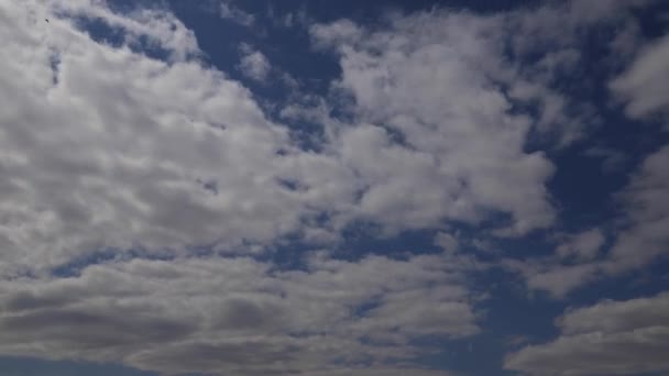 Zaman aşımı: Güneş gökyüzünde uçuşan kabarık bulutların ardında saklı. — Stok video