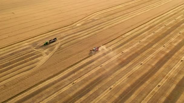 Harvester gathers the wheat crop, the tractor is waiting for grains, aerial video — Stock Video