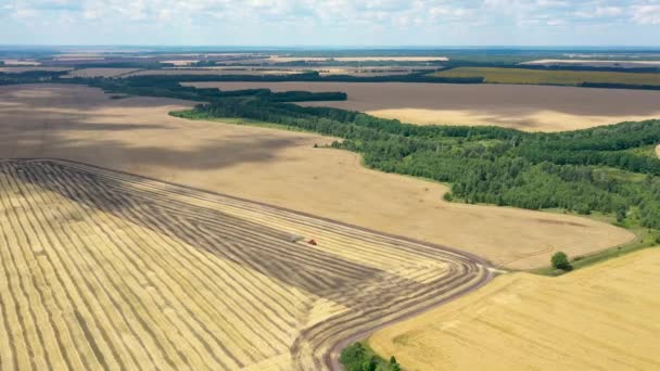 Top view of the agricultural landscape with ravines and fields, a red tractor plows a field with stubble — Stock Video