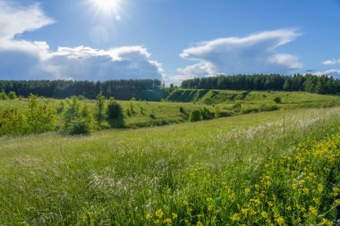 yeşil tarla ve mavi gökyüzü