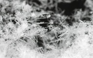 snowflakes close-up on black background