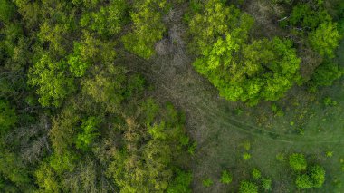 The road leading to the forest photo with a quadcopter drone