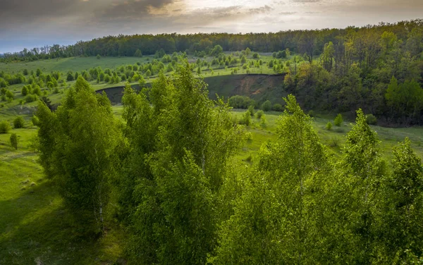 Sunset over the forest and ravine, in the foreground birch trees shot close-up in the background light