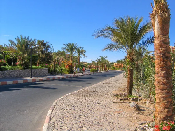 Krajobraz przed hotelem w Egipcie — Zdjęcie stockowe