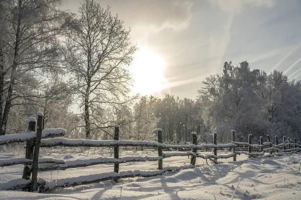 Şiddetli kar yağışında kış manzarası