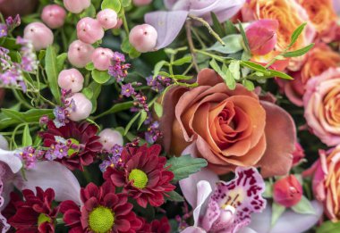 farklı renklerdeki farklı çiçeklerin arkaplanı