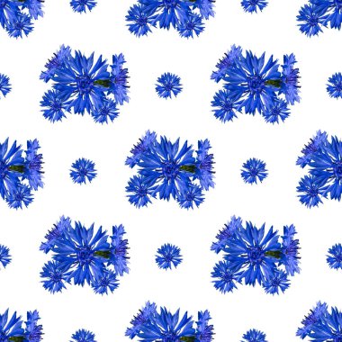 Beyaz arkaplanda kusursuz çiçek deseni