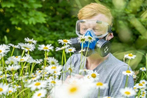 Una persona con alergias en un respirador y gafas olfatea manzanilla en un prado — Foto de Stock