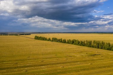 Buğday tarlasında yatan saman parçaları, kuadkopterden görüş.