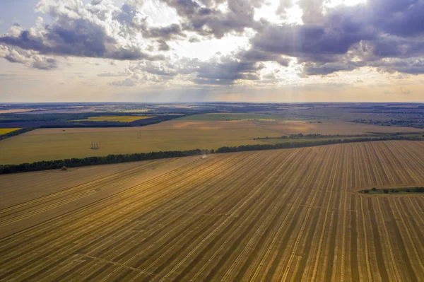 Champs de blé fauché allant au loin, vue depuis le quadcopter — Photo