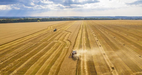 Pšeničné pole, sklízecí stroj odstraňuje pšenici, pohled z vrchu quadcopteru — Stock fotografie