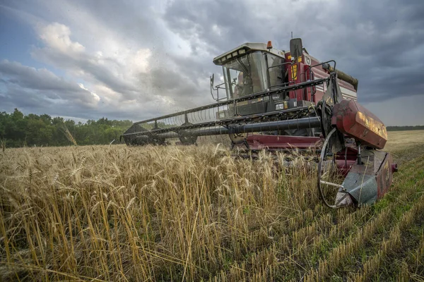 Комбайн видаляє пшеничне поле на тлі заходу сонця хмарне небо — стокове фото