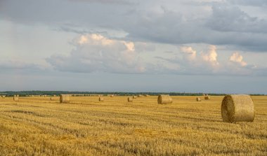 Akşam gökyüzü eğimli buğday tarlasının üzerinde Büyük saman ruloları ile