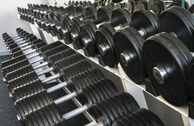 Spor salonunda farklı ağırlıktaki dambıllarla durun.