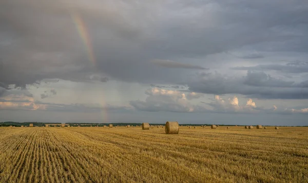 Bellissimo arcobaleno multicolore su un campo di grano in pendenza con grandi rotoli di paglia — Foto Stock