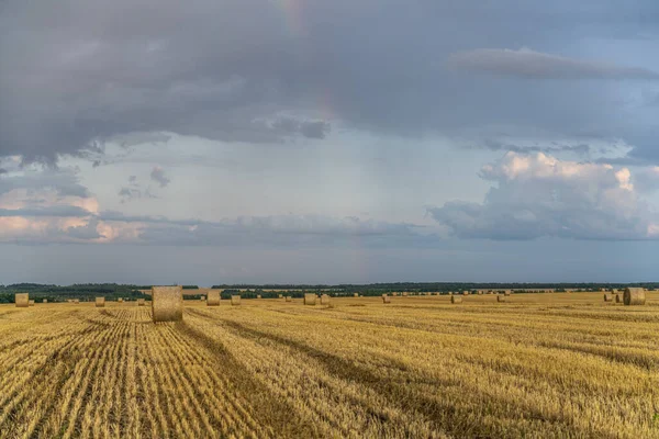 Cielo serale su un campo di grano inclinato con grandi rotoli di paglia — Foto Stock