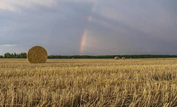 Belo arco-íris multicolorido sobre um campo de trigo inclinado com grandes rolos de palha — Fotografia de Stock