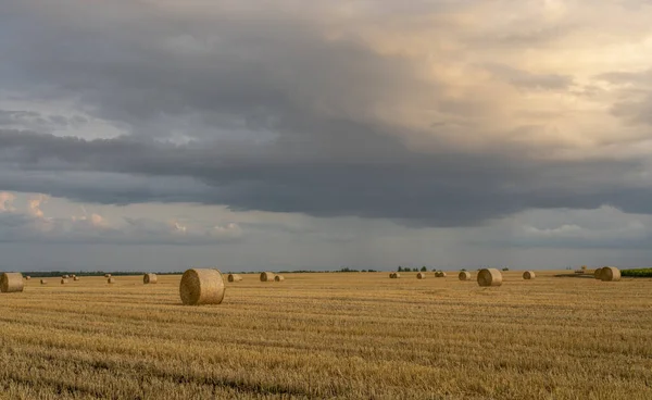 Cielo serale su un campo di grano inclinato con grandi rotoli di paglia — Foto Stock