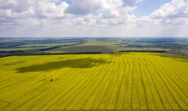 Vue depuis le quadrocopter sur le champ de colza fleuri avec des motifs complexes de nuages flottant dans le ciel — Photo