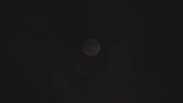 Luna Llena Una Luna Grande Brilla Contra Cielo Negro — Vídeo de stock