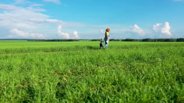 Жінка Дитиною Ходить Дорозі Зелених Полях Пагонів Молодої Пшениці Блакитне — стокове відео