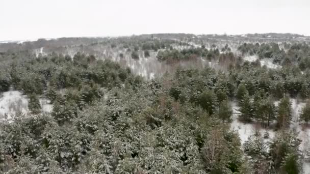 Vídeo Aéreo Voando Quadricóptero Sobre Topos Árvores Cobertas Neve Uma — Vídeo de Stock