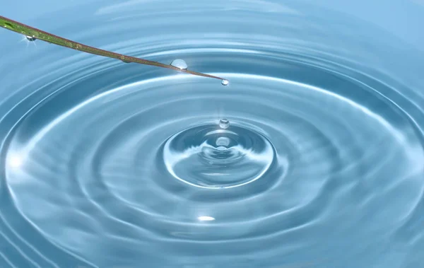 Dauw druppels in het voorjaar zonlicht vallen van een grassprietje in helder, transparant blauw water vormen cirkels op het water — Stockfoto