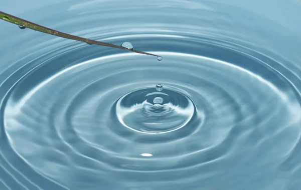 Primavera, gocce d'acqua sotto forma di rugiada cadono da un filo d'erba con una spruzzata d'acqua pulita e blu che forma cerchi sull'acqua. — Foto Stock