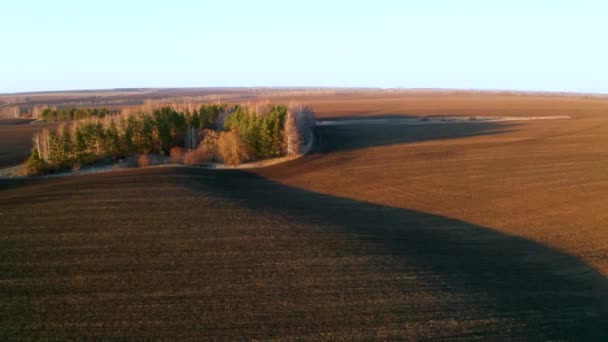 Vroeg in de lente, vliegend op een quadcopter over geploegde landbouwvelden en dunne eilanden van bomen in de stralen van de ondergaande oranje zon — Stockvideo