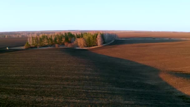 Vroeg in de lente, vliegend op een quadcopter over geploegde landbouwvelden en dunne eilanden van bomen in de stralen van de ondergaande oranje zon — Stockvideo