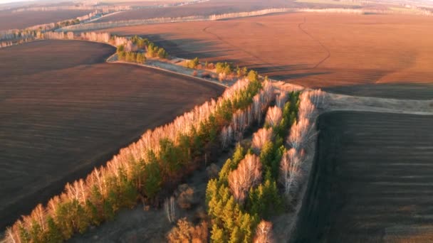 Wczesną wiosną, latający na quadcopterze nad zaoranymi polami uprawnymi i rzadkimi wyspami drzew w promieniach pomarańczowego słońca — Wideo stockowe