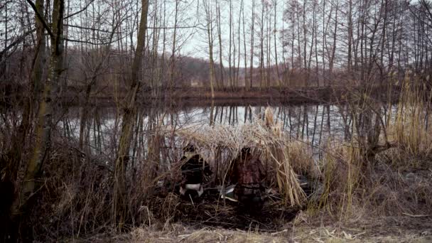 Frühlingsente jagen, zwei Jäger versteckt in einer Hütte am Fluss schießen mit Gewehren auf wilde Erpel — Stockvideo