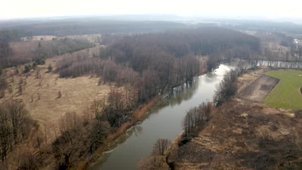 Політ квадрокоптера вздовж весняної річки в оточенні сухої жовтої рослинності, аерофотозйомка — стокове відео